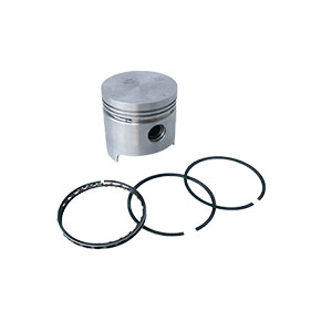 Piston And Rings